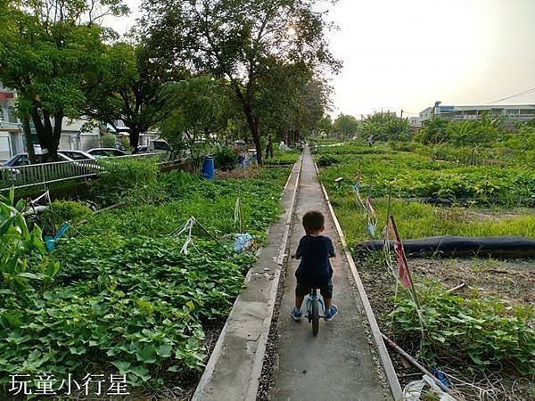 新營糖鐵自行車道10.jpg