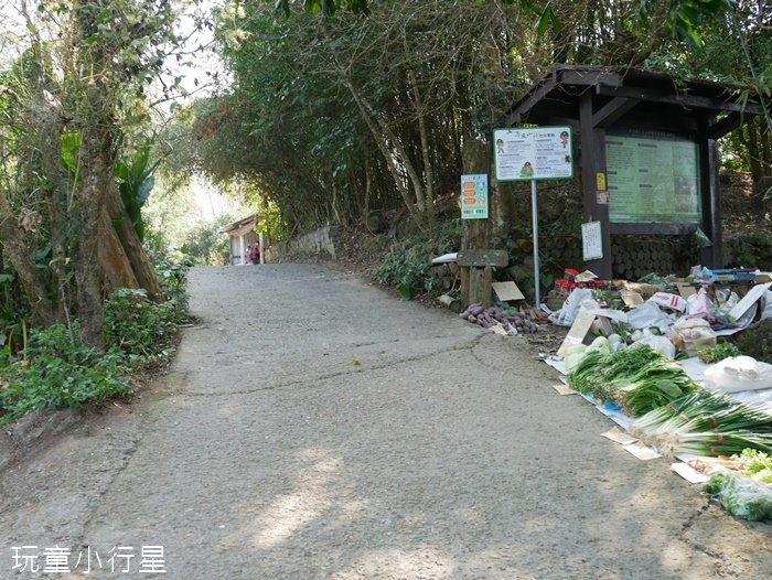 大凍山步道雞籠山4.JPG