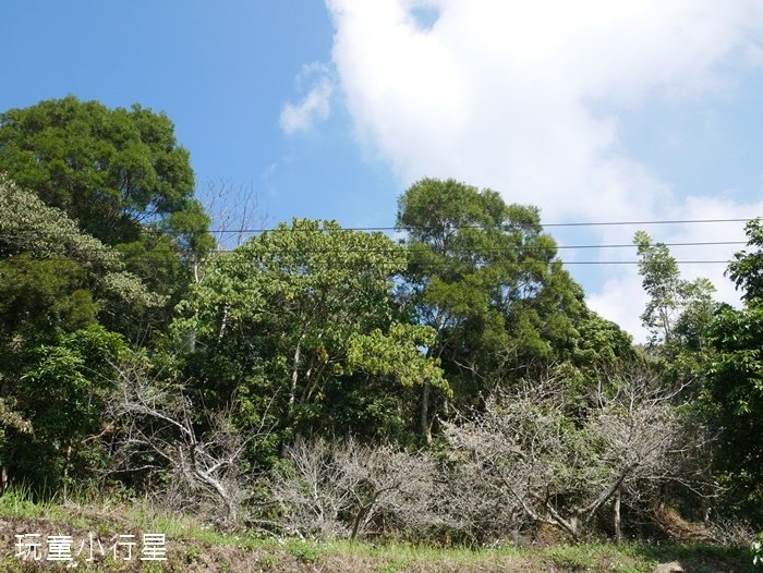 烏山步道紫竹寺2.JPG