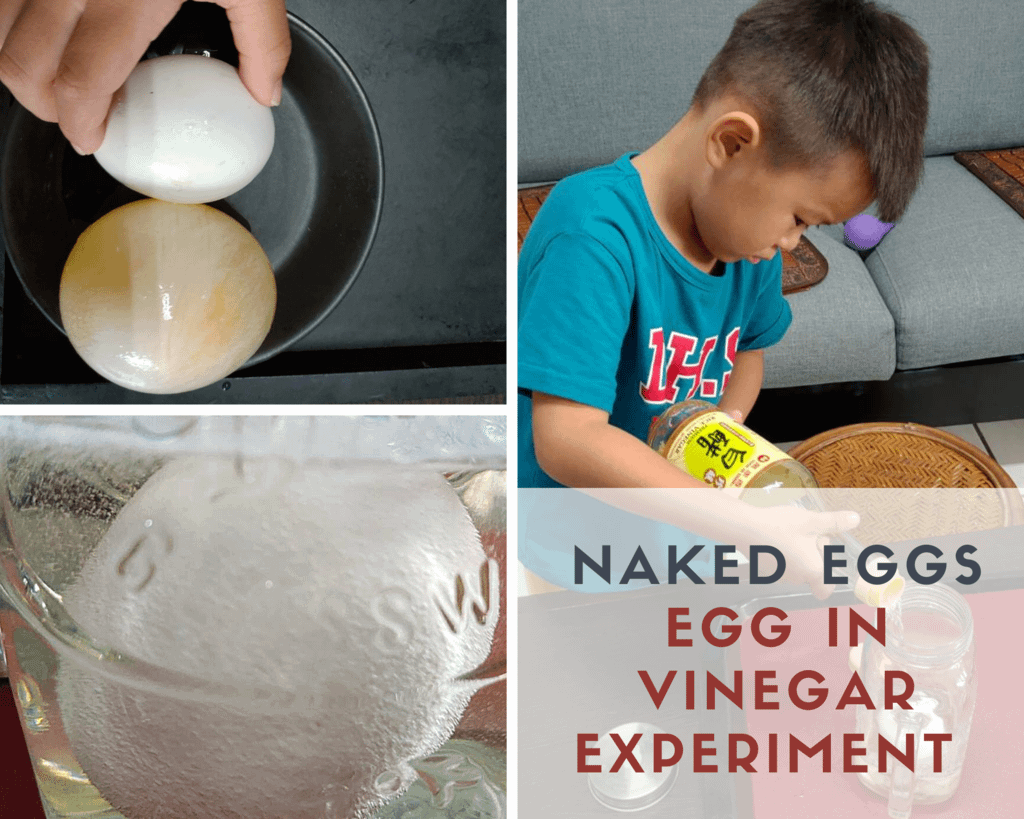 Naked Eggs.png