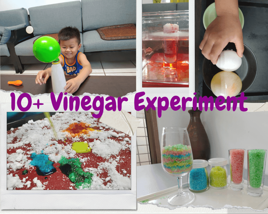 10+Vinegar Experiment.png