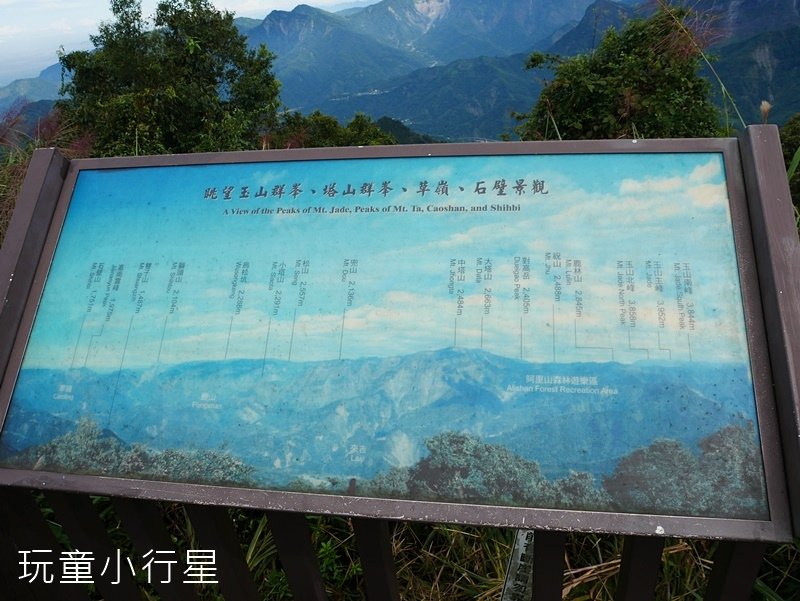 嘉義大凍山9.JPG