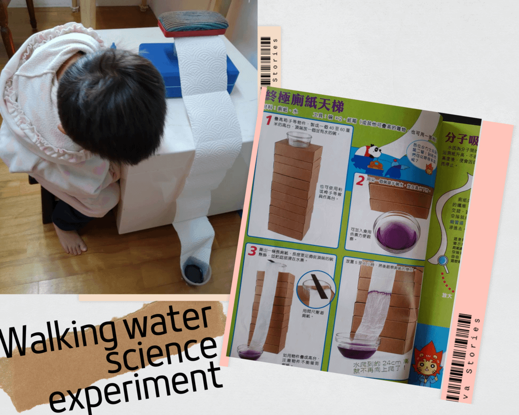 Walking water science experiment.png