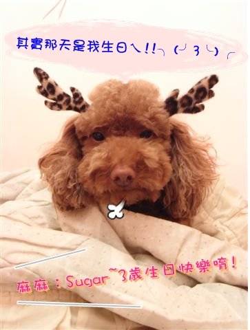 RIMG0087222.JPG