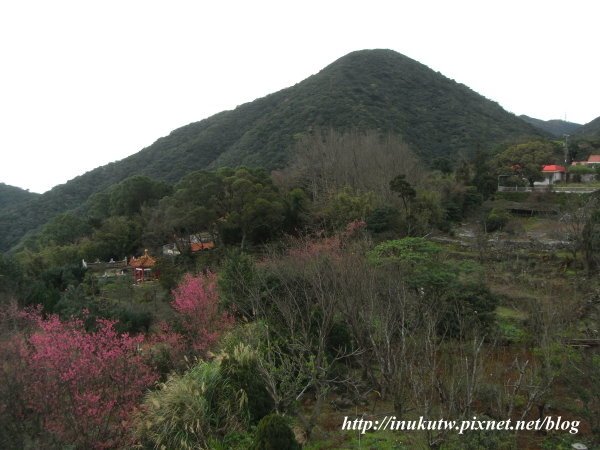 陽明山的美景
