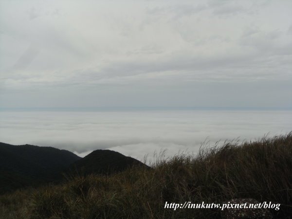 陽明山飄渺的雲海1