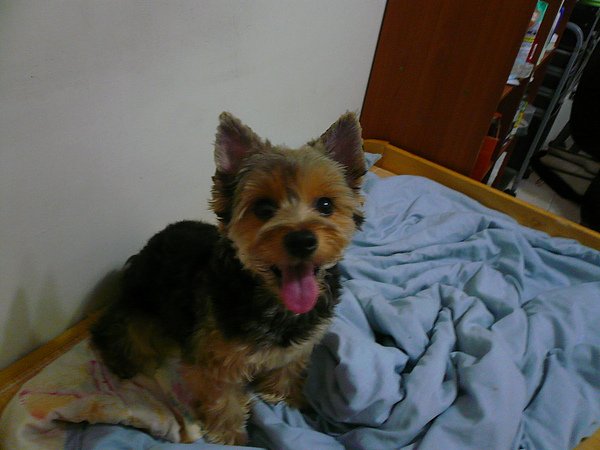 P1050976.JPG