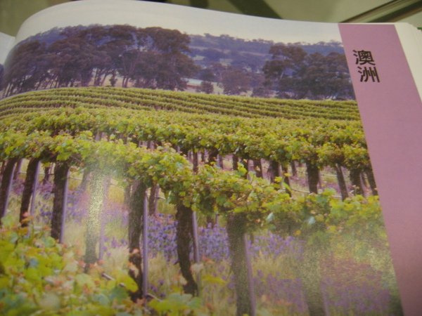 The World Atlas of Wine_15.JPG