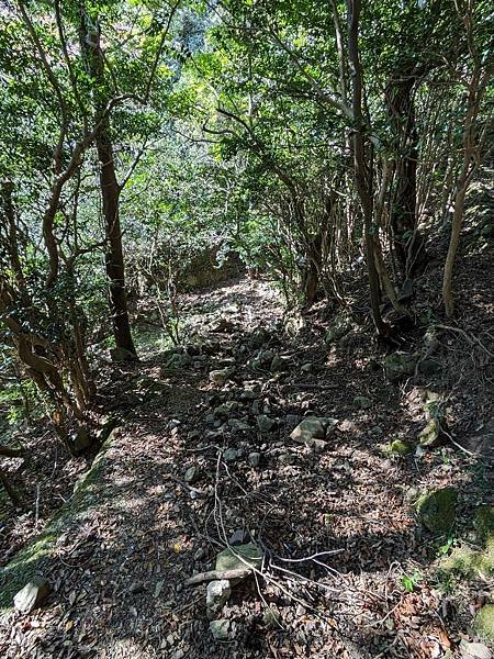 日本四國-小豆島(下)天使之路/中山千枚田/寒霞溪/前往高松