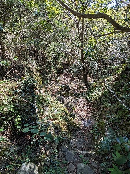 日本四國-小豆島(下)天使之路/中山千枚田/寒霞溪/前往高松
