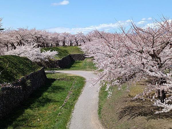 日本東北+函館追櫻記-Part5 函館(上) 大沼公園/五陵