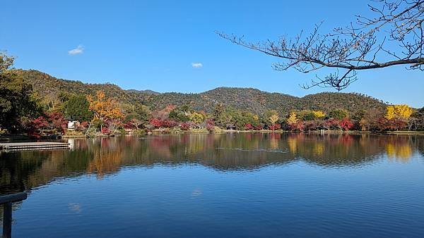 日本關西--京都嵐山大覺寺+清涼寺+常寂光寺