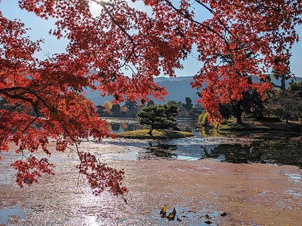 日本關西--京都嵐山大覺寺+清涼寺+常寂光寺