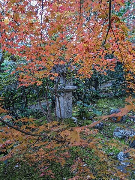 日本關西--京都嵐山大覺寺+清涼寺+常寂光寺