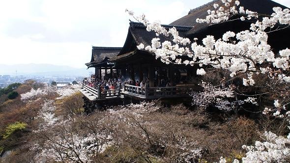 [2014-04-02] 劉さんが撮った清水寺の隅