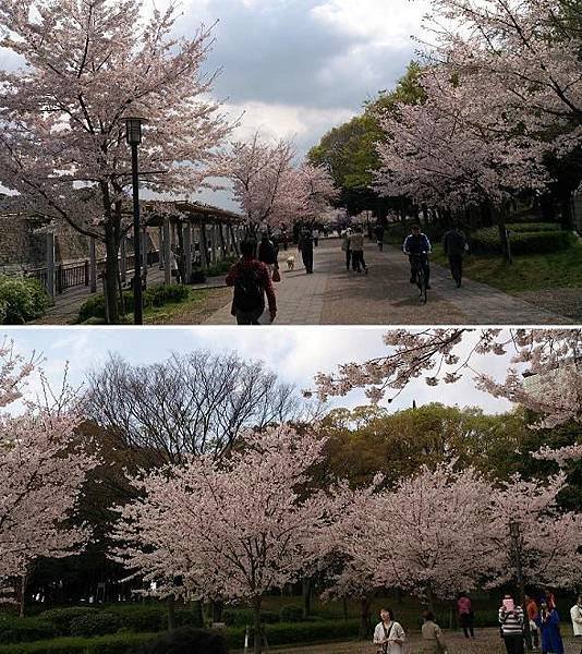 [2014-04-04] 地図看板に着く前の景色 in 大阪城