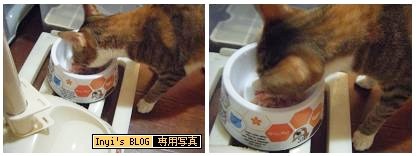 100202-吃飯中.JPG