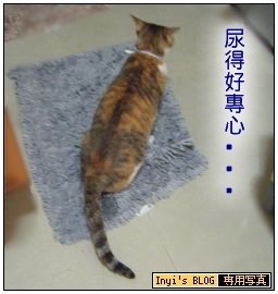 100426-咪尿尿.jpg