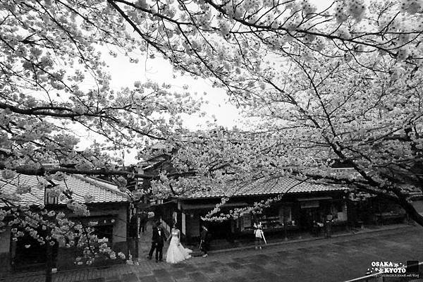 高台寺1638.jpg