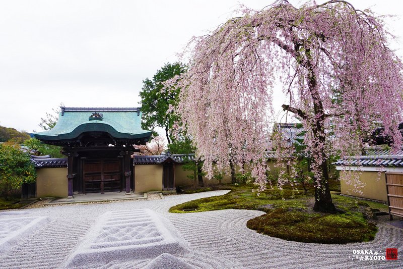 高台寺1669.jpg