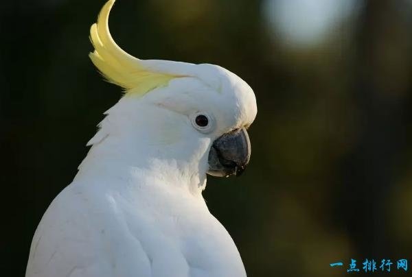 4o030002s11n4os8o83o.jpg
