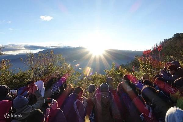 阿里山國家森林遊樂區門票 (優惠票)