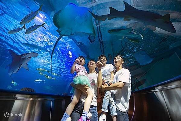 花蓮遠雄海洋公園：海洋夜未眠・夜宿水族館・住宿體驗