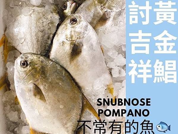 【大特惠】本土超大黃金鯧魚900g，活動數量有限售完為止