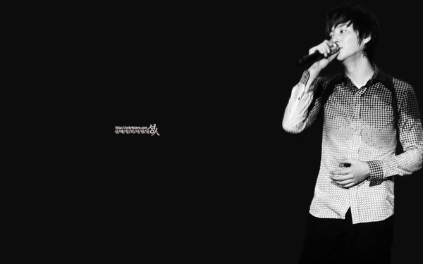 2008 shs concert in seoul