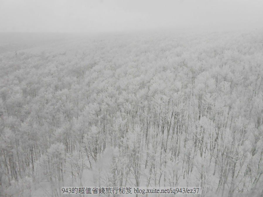 青森 八甲田山 纜車 樹冰 雪 帆立貝 大間鮪魚 青森蘋果 黑石溫泉