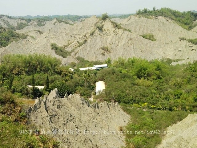 台南 龍崎 貓咪階梯 文衡殿 梅嶺油桐花 梅酒DIY體驗 梅子雞 賞螢火蟲  龜丹溫泉 左鎮月世界