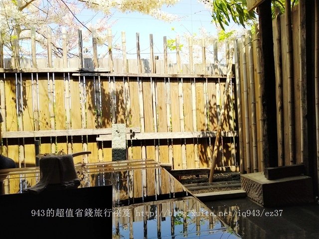 台南 龍崎 貓咪階梯 文衡殿 梅嶺油桐花 梅酒DIY體驗 梅子雞 賞螢火蟲  龜丹溫泉 左鎮月世界