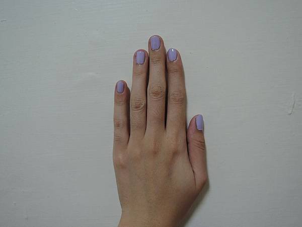 UNT太陽光11.JPG