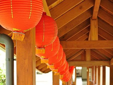 天南寺DSC_1950 縮小