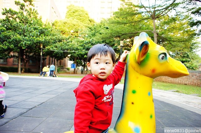 nEO_IMG_DSC02840.jpg