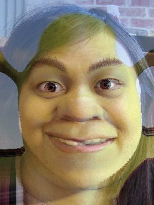 3135636482-c9587a337b-o-jpg--Shrek.jpeg.jpg
