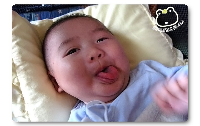090514_07_呱呱4M.jpg