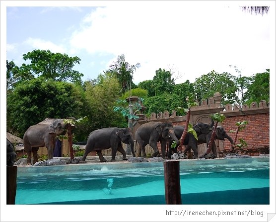 Bali352-野生動物園(有很多大象).jpg