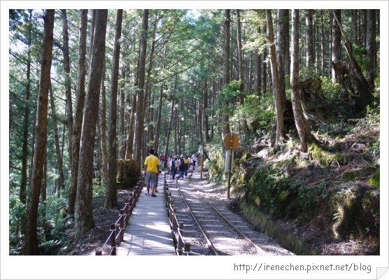 太平山30-茂興國家步道.jpg