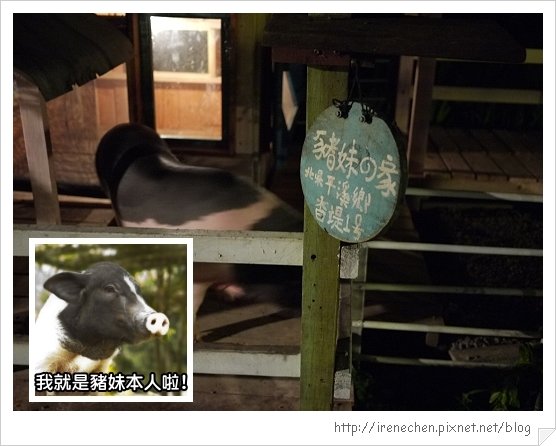 香緹庭園咖啡20-豬妹.jpg