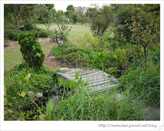 桃園烏樹林37-活脫就像小公園的戶外區.jpg