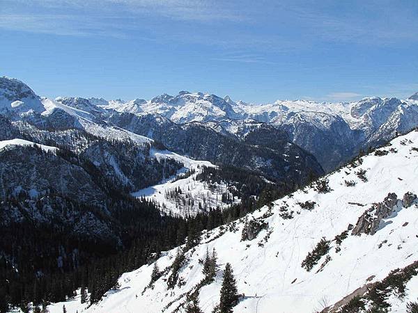 IMG_6942