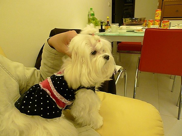 P1070339-1.JPG