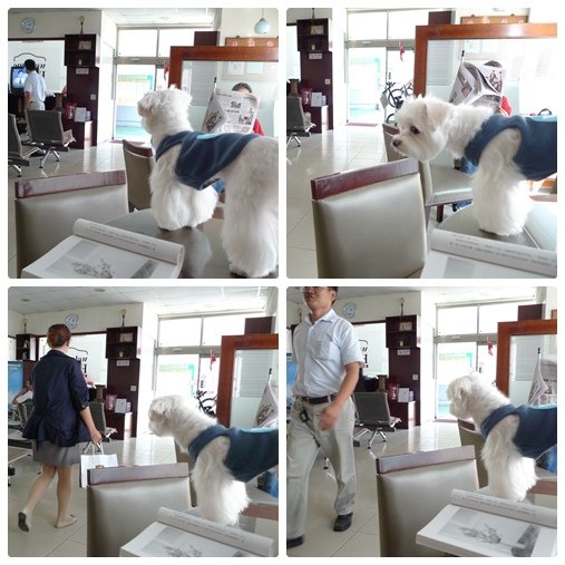 看人縮圖.jpg