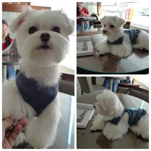 握手縮圖.jpg