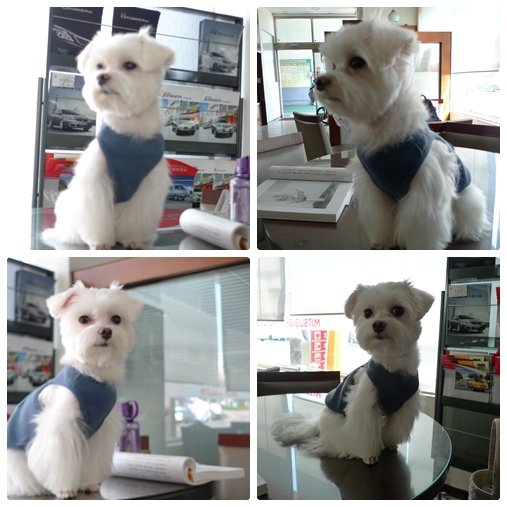 望縮圖.jpg
