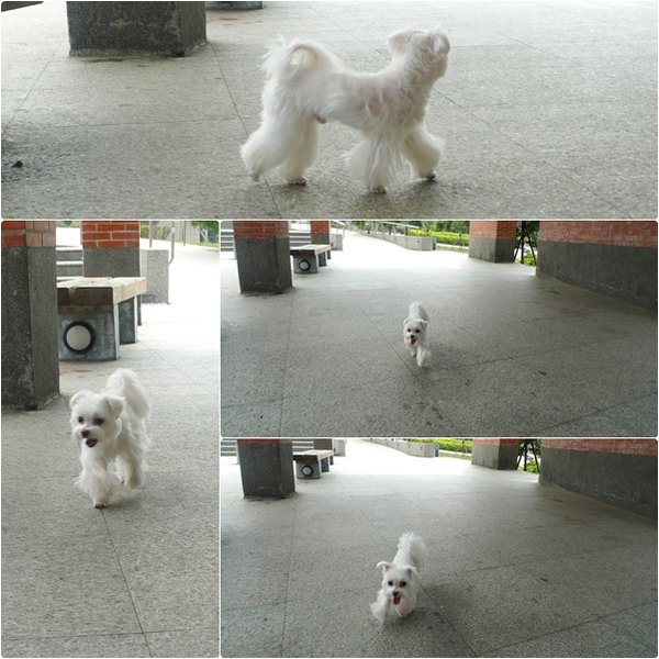 公園跑縮圖.jpg