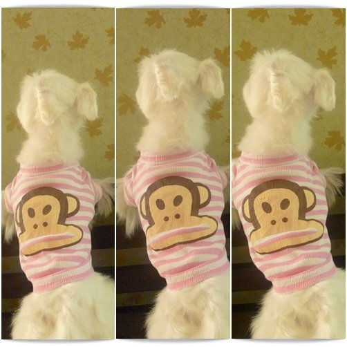 罰站縮圖.jpg