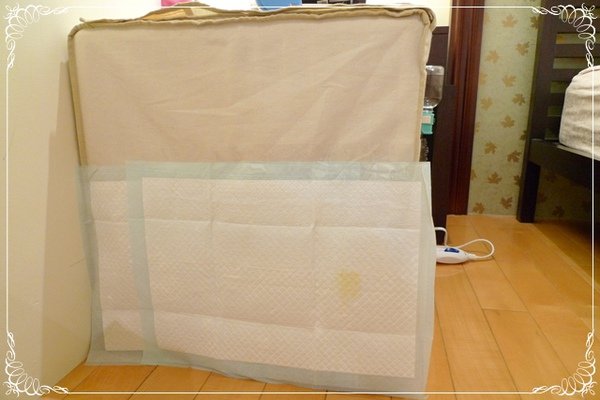 P1030184-1.JPG