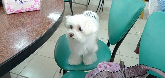 P1060156-1.JPG